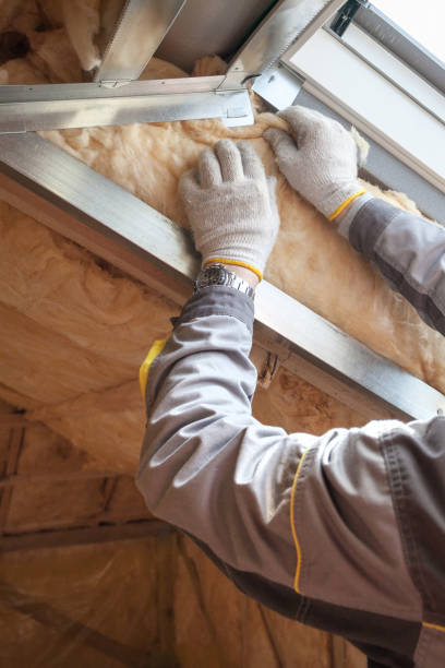 Best Insulation Removal Services  in USA